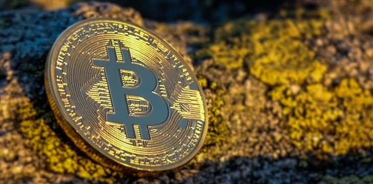 新研究发现罪犯更喜欢BTC