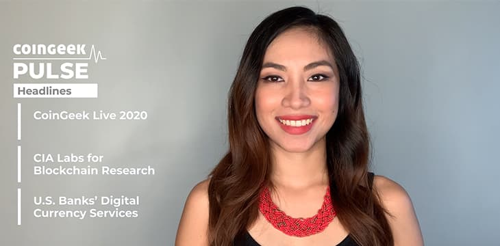 The CoinGeek Pulse：第14集