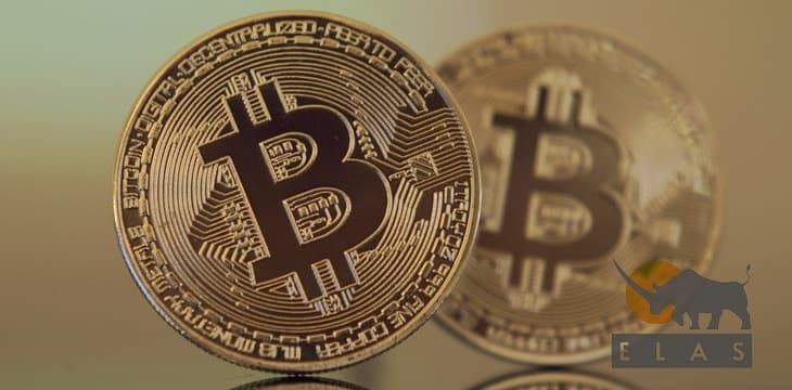 Elas Digital：定义一个Token的最简易方法