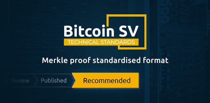 BSV技术标准委员会首个推荐级技术标准出炉