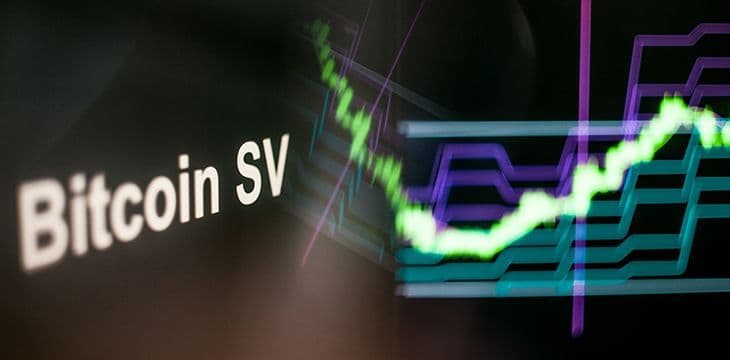 比特币 SV 在 11 月的交易中优于 BTC