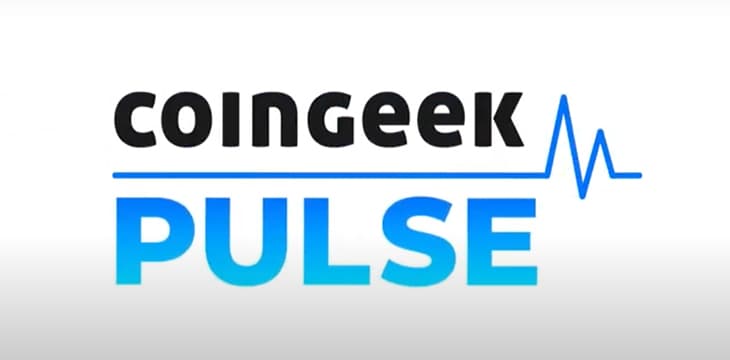 The CoinGeek Pulse：第一集